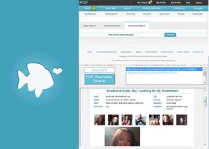 POF Username - How to Change Your POF Username | POF Username Search