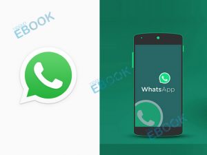WhatsApp - Get Started with WhatsApp for Android, iPhone, PC & Mac | WhatsApp App Download