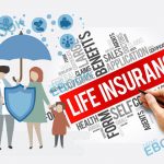 Life Insurance – Life Insurance Guide to Policies