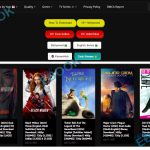 Hubflix – Bollywood, Hollywood Movies Download Website – Hubflix