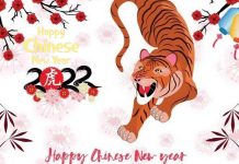 Chinese New Year 2022 – Chinese New Year 2022 Date: Feb. 1, Animal Sign Tiger Chinese New Year 2022 - Chinese New Year 2022 Date: Feb. 1, Animal Sign Tiger