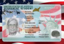 Green Card – How to Apply for Green Card | Green Card Status Green Card - How to Apply for Green Card | Green Card Status