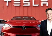Is Elon Musk the Owner of Tesla? Is Elon Musk the owner of Tesla?