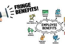 Fringe Benefits – Types of Fringe Benefits, How It Works Fringe Benefits - Types of Fringe Benefits, How It Works