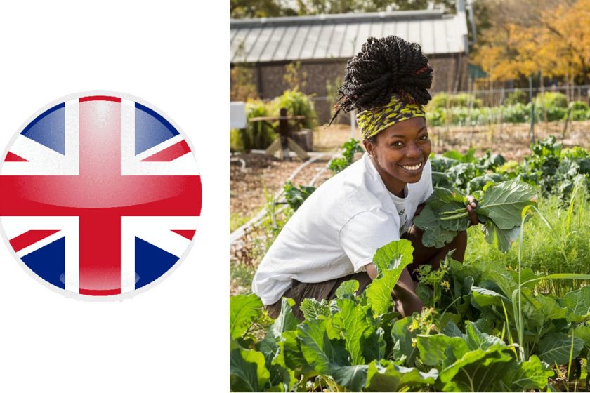 Ag Recruitment UK – Urgently Needed  | Apply Now