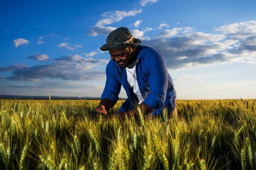 Concordia UK Farm Jobs – Urgently Needed