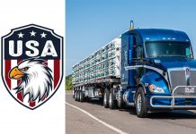 Regional Flatbed Truck Driver Jobs in USA With Visa Sponsorship Regional Flatbed Truck Driver Jobs in USA With Visa Sponsorship