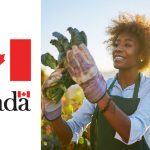 Unskilled Jobs in Canada With Visa Sponsorship