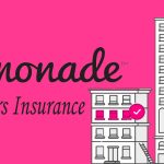 Lemonade Renters Insurance Review