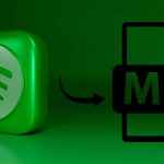 Spotify To MP3 Converter Online Free