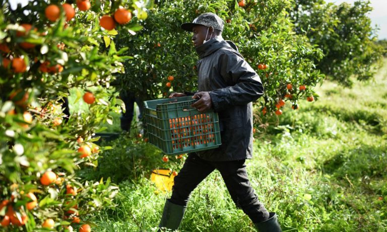 Gardener Job in USA with Visa Sponsorship