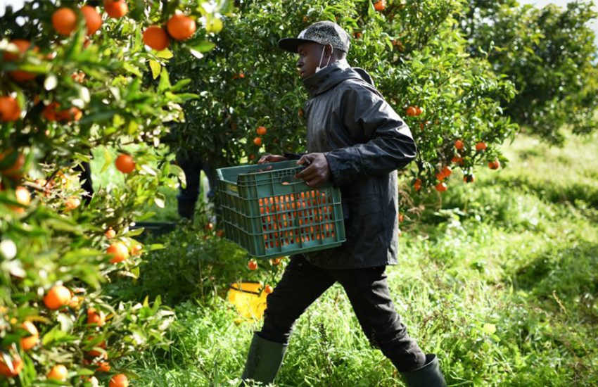 Gardener Job in USA with Visa Sponsorship