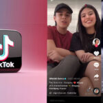TikTok Video Download From App