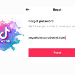 Reset TikTok – How to Reset Your Password