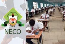 When Is Neco 2023 Starting When Is Neco 2023 Starting