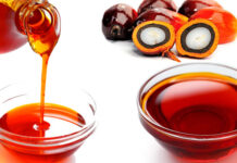 Palm Oil Business in Nigeria Palm Oil Business in Nigeria