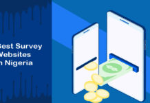 Best Survey Websites in Nigeria to Earn Extra Cash