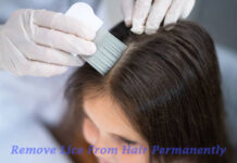 How To Remove Lice From Hair Permanently How To Remove Lice From Hair Permanently