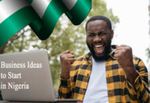 Business Ideas to Start in Nigeria Business Ideas to Start in Nigeria