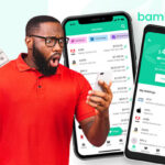 Bamboo-Investment-Everything-You-Need-To-Know