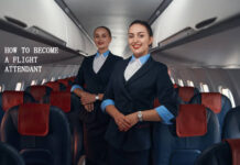 How To Become A Flight Attendant How To Become A Flight Attendant