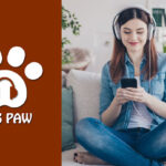 MP3Paw-Free-MP3-Music-Download
