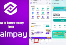 How to Borrow Money from PalmPay How to Borrow Money from PalmPay