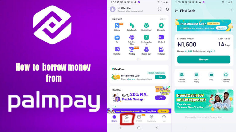 How to Borrow Money from PalmPay