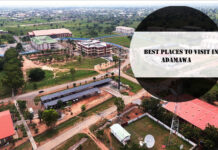 Best Places To Visit In Adamawa