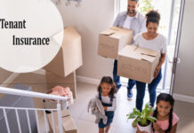 Tenant Insurance – What It Is & What It Covers Tenant Insurance - What It Is & What It Covers