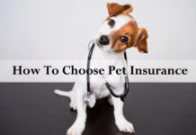 How To Choose Pet Insurance How To Choose Pet Insurance