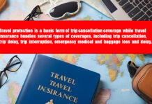 What’s the Difference Between Travel Protection and Travel Insurance? What's the Difference Between Travel Protection and Travel Insurance?