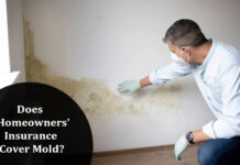 Does Homeowners’ Insurance Cover Mold? Does Homeowners' Insurance Cover Mold?