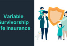 What is Variable Survivorship Life Insurance? What is Variable Survivorship Life Insurance?