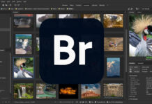 What is Adobe Bridge? What is Adobe Bridge?