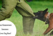 Does Homeowners Insurance Cover Dog Bites? Does Homeowners Insurance Cover Dog Bites?