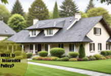 DP2 Insurance Policy: What It Is and What It Covers DP2 Insurance Policy: What It Is and What It Covers