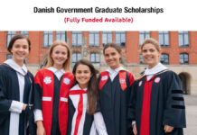 Danish Government Scholarships 2024-2025 Danish Government Scholarships 2024-2025