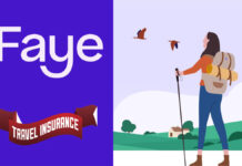 Faye Travel Insurance: What It Covers and Cost Faye Travel Insurance: What It Covers and Costs
