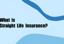 What is Straight Life Insurance Policy? What is Straight Life Insurance Policy?