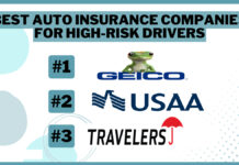 Best Car Insurance for High-Risk Drivers in 2024 Best Car Insurance for High-Risk Drivers in 2024