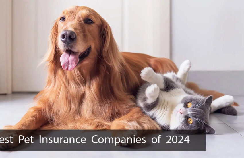 Best Pet Insurance Companies of 2024