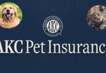 AKC Pet Insurance Review 2024 AKC Pet Insurance Review 2024