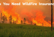 Do You Need Wildfire Insurance? Do You Need Wildfire Insurance?