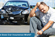 How Does Car Insurance Work?