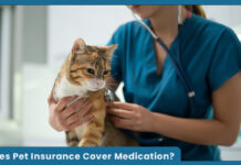 Does Pet Insurance Cover Medication? Does Pet Insurance Cover Medication