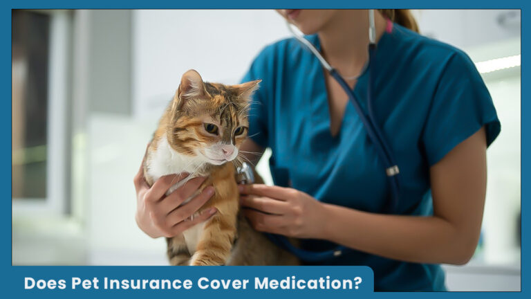 Does Pet Insurance Cover Medication