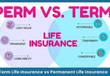 Term Life Insurance vs Permanent Life Insurance Term Life Insurance vs Permanent Life Insurance: What Is The Difference