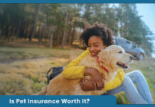 Is Pet Insurance Worth It? Is Pet Insurance Worth It