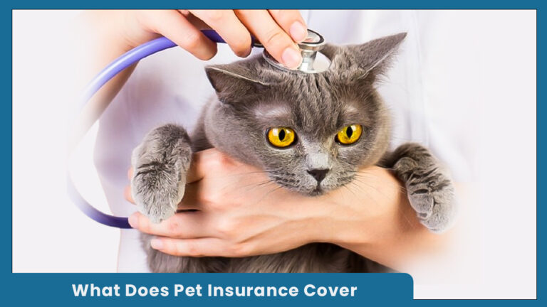 What Does Pet Insurance Cover